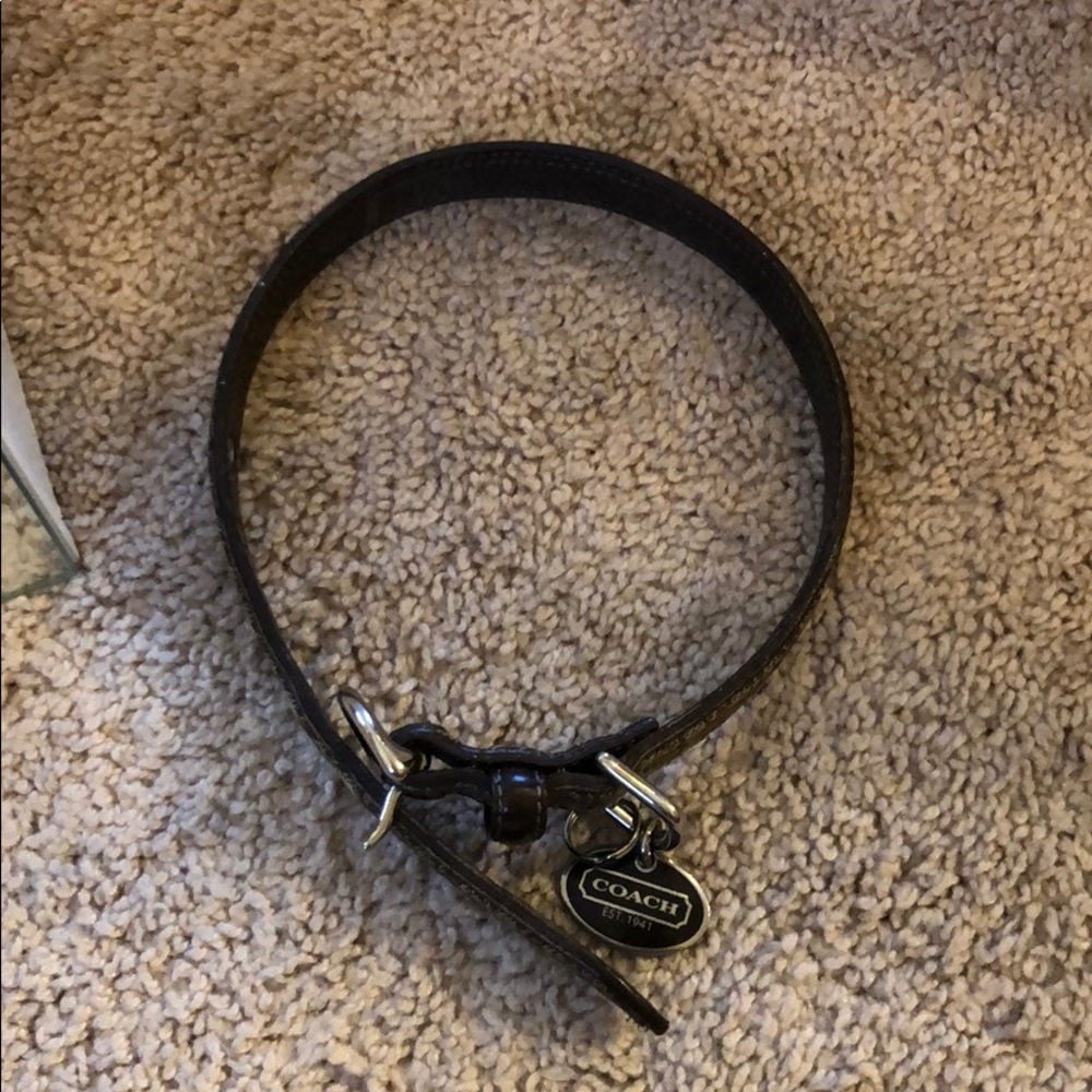 Coach dog collar